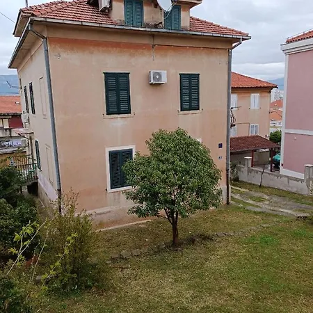 Marjan Nest Split